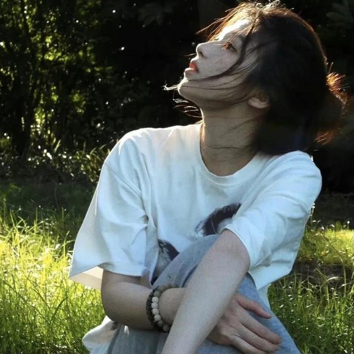 屋顶里的散步者